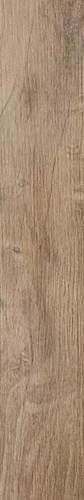 Nebraska Elm Mate