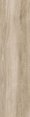 Pecan Beige